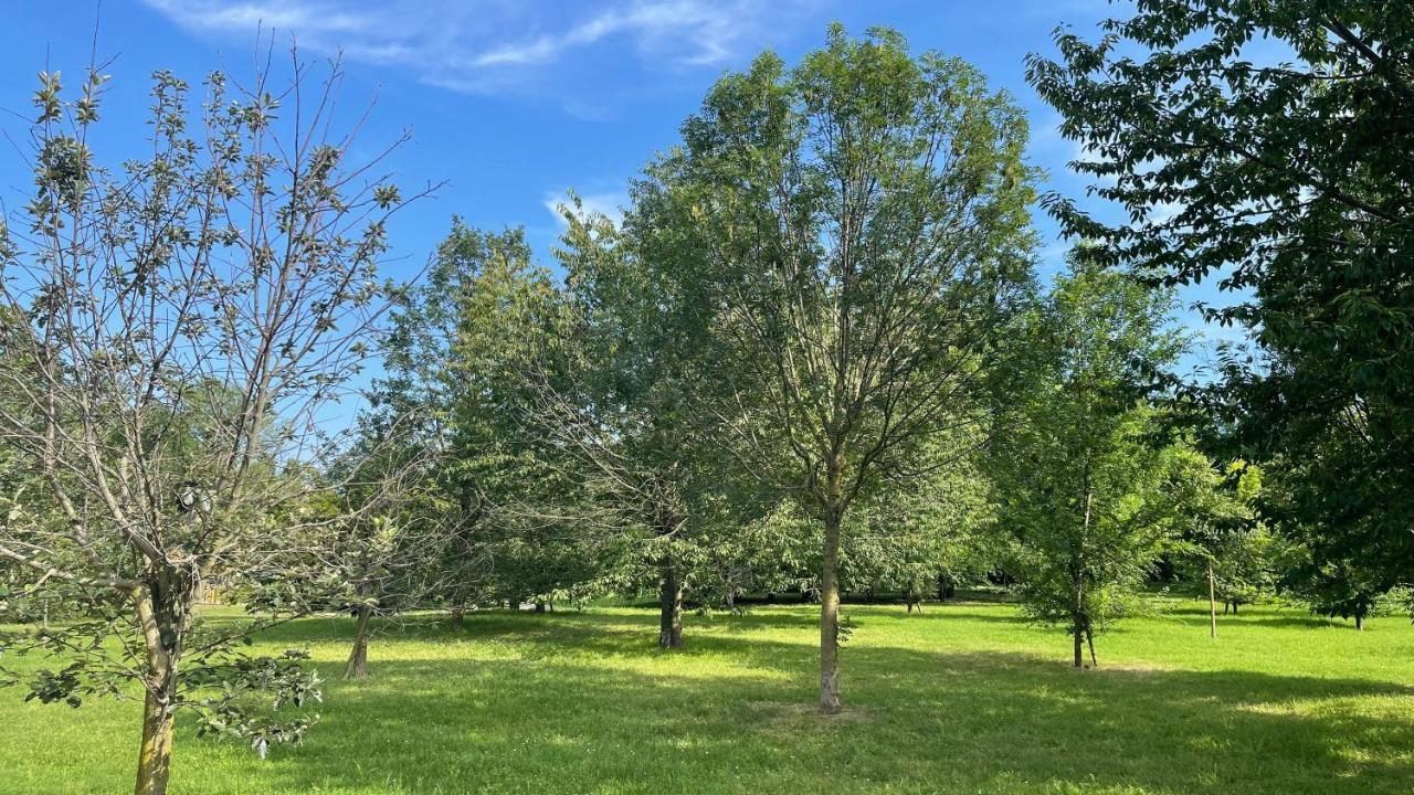 Pacy - Park City Home San Giuliano Milanese Luaran gambar